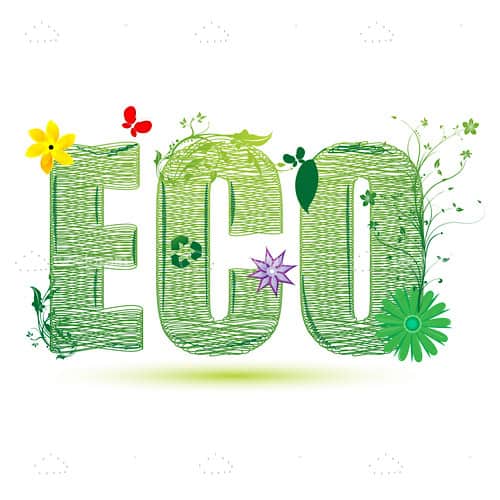 ECO logo Design with Floral Decorations